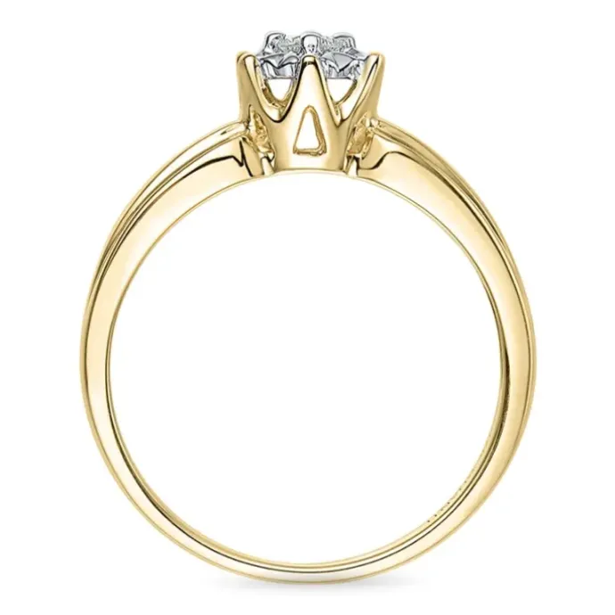 Blomster diamant ring i 9 karat guld.- og hvidguld 0,08 ct