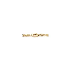 BNH singaporearmbånd i 14 karat guld 21,0 cm x 2,9 mm