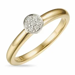 Diamantring i 14 karat guld.- og hvidguld 0,07 ct