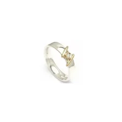 Kollektionsprøve zirkon ring i sølv