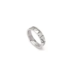 Kollektionsprøve zirkon ring i sølv