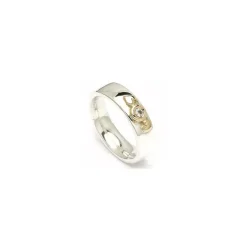Kollektionsprøve zirkon ring i sølv