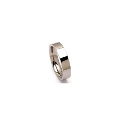 Ring i titanium