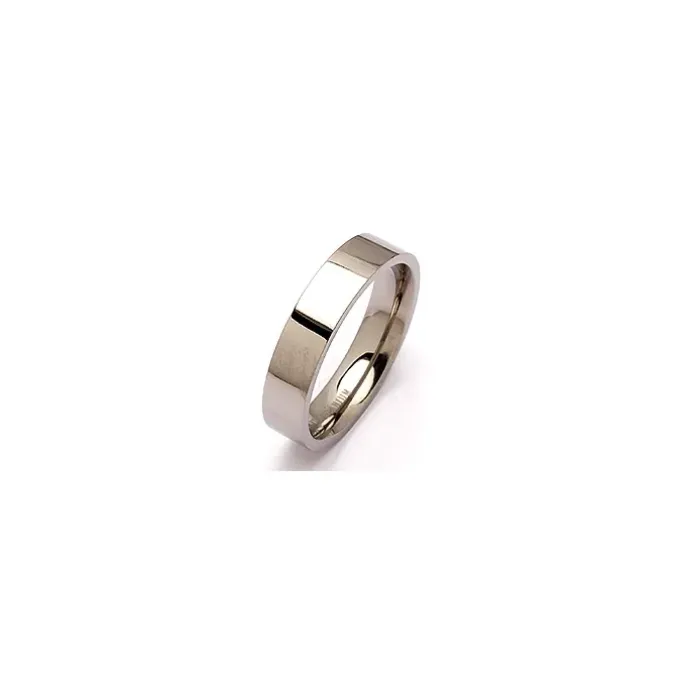 Ring i titanium