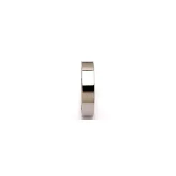 Ring i titanium