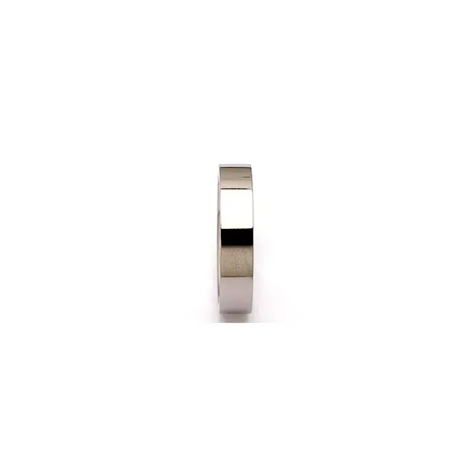 Ring i titanium