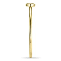 Rund diamantring i 9 karat guld.- og hvidguld 0,01 ct