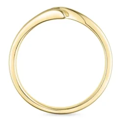 Smaragd ring i 9 karat guld 0,02 ct